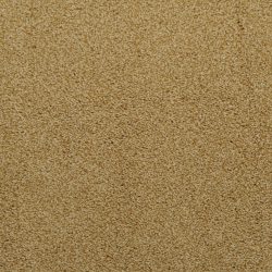 Dixie Home Carpet Morning Mist G5214 46134