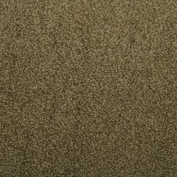 Dixie Home Carpet Morning Mist G5214 56147