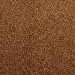 Dixie Home Carpet Morning Mist G5214 76127