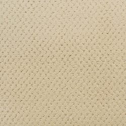 Fabrica Power Point 602PP PP07 Carpet