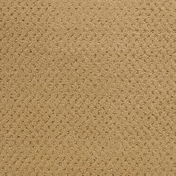 Fabrica Power Point 602PP PP10 Carpet