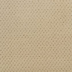 Fabrica Power Point 602PP PP11 Carpet