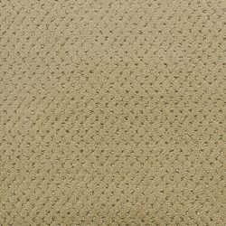 Fabrica Power Point 602PP PP41 Carpet