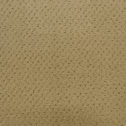 Fabrica Power Point 602PP PP44 Carpet