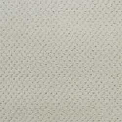 Fabrica Power Point 602PP PP48 Carpet