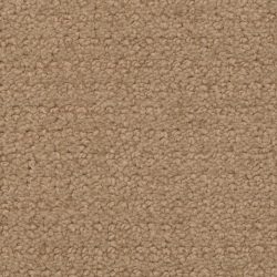 Fabrica Chinois 604CI 879CI Carpet