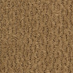 Fabrica Montalcino 650MC 884MC Carpet
