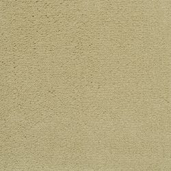 Masland  Solid Impact Carpet 7105 01501