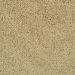 Masland  Solid Impact Carpet 7105 01513