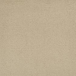 Masland  Solid Impact Carpet 7105 01514