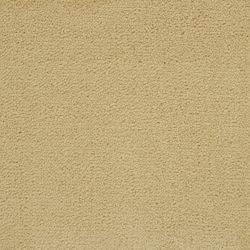 Masland  Solid Impact Carpet 7105 01516