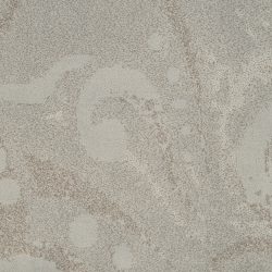 Fabrica Angelico 722AN 535AN Carpet