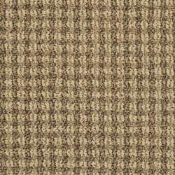 Masland  Metro  Carpet 7809 08902