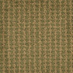 Masland  Verve Carpet 7811 18105
