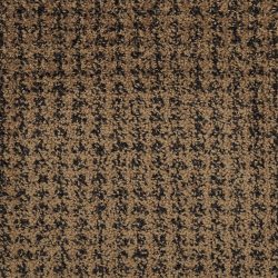 Masland  Verve Carpet 7811 18107