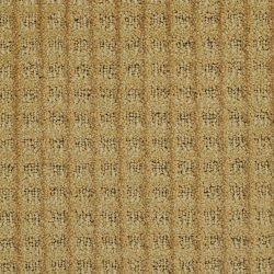Masland  Gotham Carpet 7813 18305