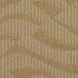 Masland  Rhythm Carpet 7816 18601