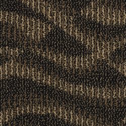 Masland  Rhythm Carpet 7816 18606