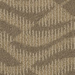 Masland  Rhythm Carpet 7816 18607