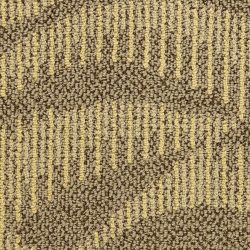 Masland  Rhythm Carpet 7816W 463