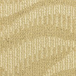 Masland  Rhythm Carpet 7816W 544