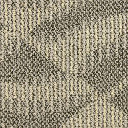Masland  Rhythm Carpet 7816W 877