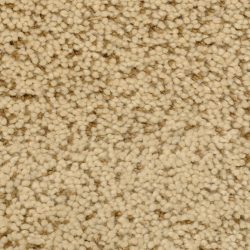 Fabrica Mia Bella 804MB 111MB Carpet