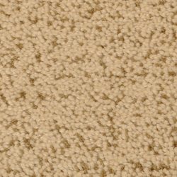 Fabrica Mia Bella 804MB 121MB Carpet