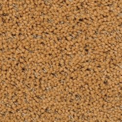Fabrica Mia Bella 804MB 232MB Carpet