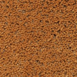 Fabrica Mia Bella 804MB 257MB Carpet