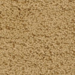Fabrica Mia Bella 804MB 642MB Carpet