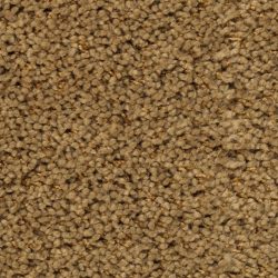 Fabrica Mia Bella 804MB 667MB Carpet