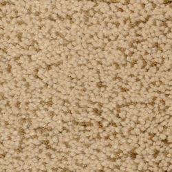Fabrica Mia Bella 804MB 732MB Carpet