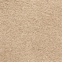 Fabrica Bodega Bay  807BY 851BY Carpet