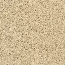 Fabrica Pacific Grove 808PG 748PG Carpet