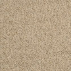 Masland  Wexford Carpet 9202 501