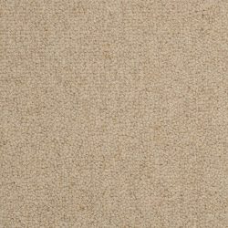 Masland  Wexford Carpet 9202 535