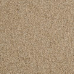 Masland  Wexford Carpet 9202 568