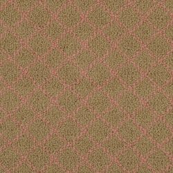 Masland  Charmant Carpet 9214 251
