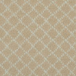 Masland  Charmant Carpet 9214 427
