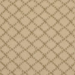 Masland  Charmant Carpet 9214 561