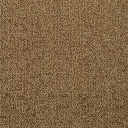 Masland  Novellino Carpet 9215 632