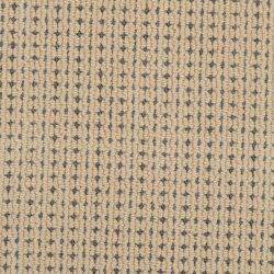 Masland  Carino Carpet 9216 446