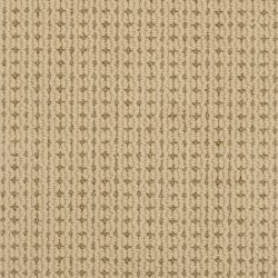 Masland  Carino Carpet 9216 626