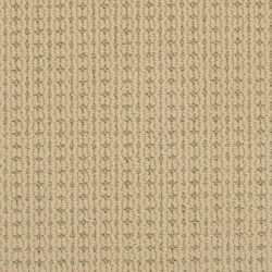 Masland  Carino Carpet 9216 732
