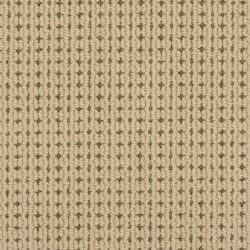 Masland  Carino Carpet 9216 771