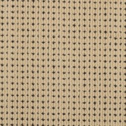 Masland  Carino Carpet 9216 819
