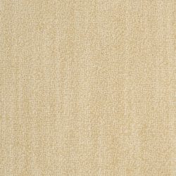 Masland  Bellini Carpet 9221 340