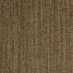 Masland  Bellini Carpet 9221 673