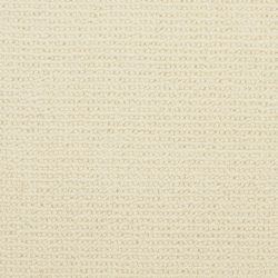 Masland  Dublin Carpet 9242 010